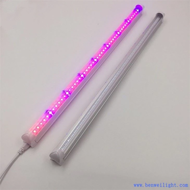 Grow Light Garden Kit