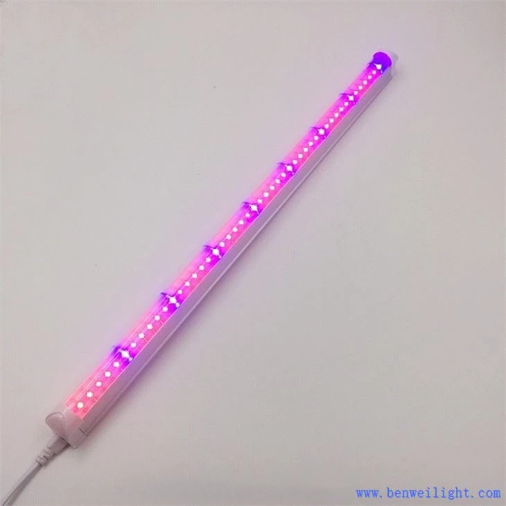 grow light giveaway