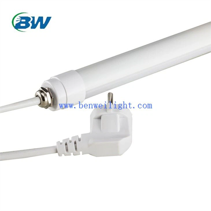 Led-valgustid munakanadele