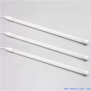 Kodulindude valgustus