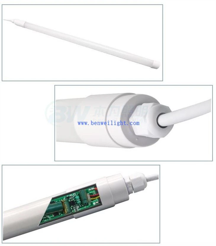 LED-valgustid linnukasvatuses