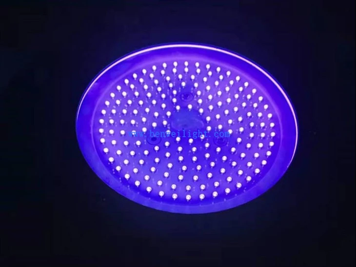 1000W 440NM 420NM Bulle LED-valgusti