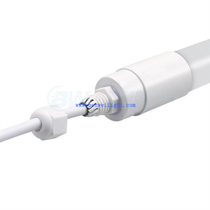 brooder light for chicks