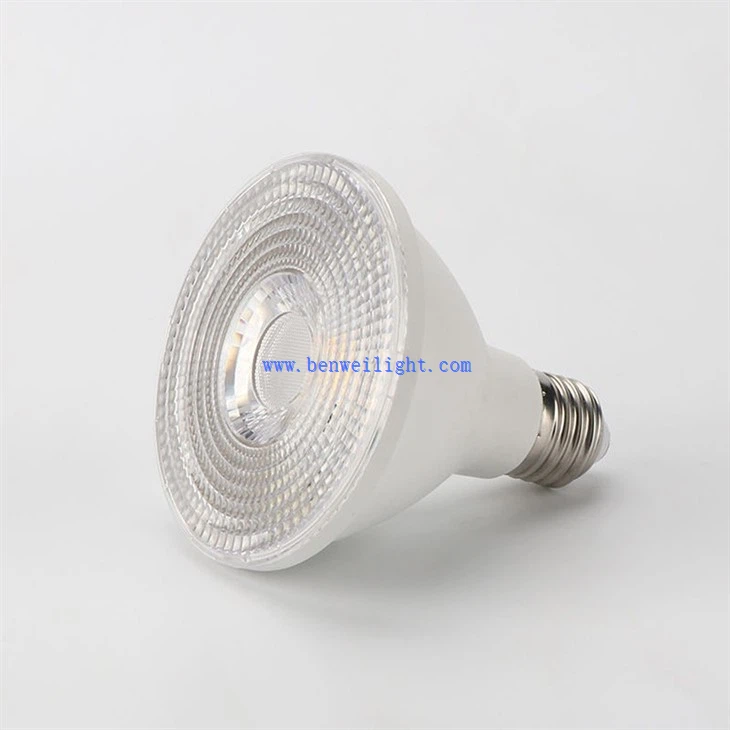 PAR30 LED lambipirnid