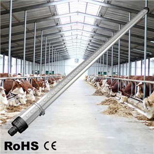 Led-torulamp kodulinnufarmi kasutamiseks