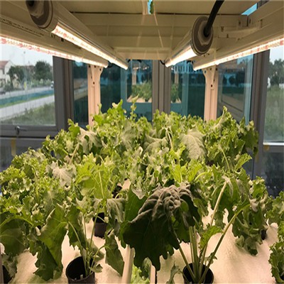 What are the storage and working humidity levels for waterproof plant growth LED Light?