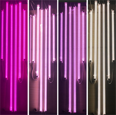 What Do You Need To Know About LED Grow Lights? What Do You Need To Know About LED Grow Lights?