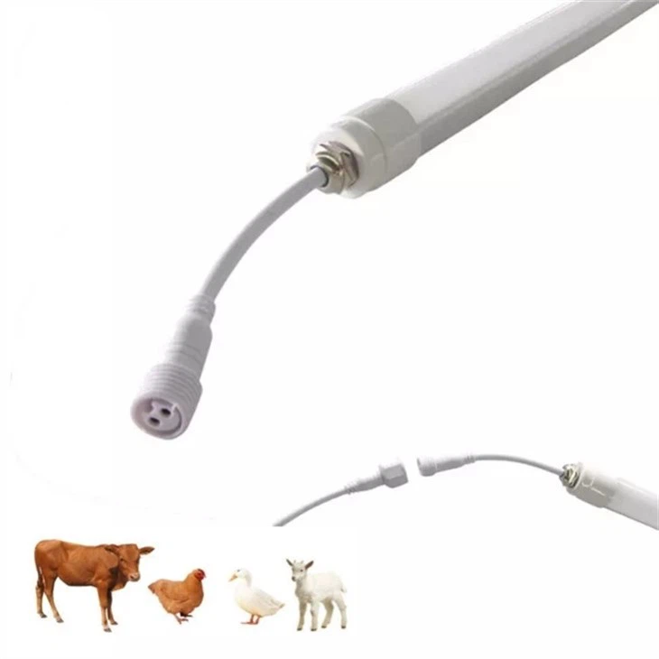 IP 65 veekindel lehmavalgustus