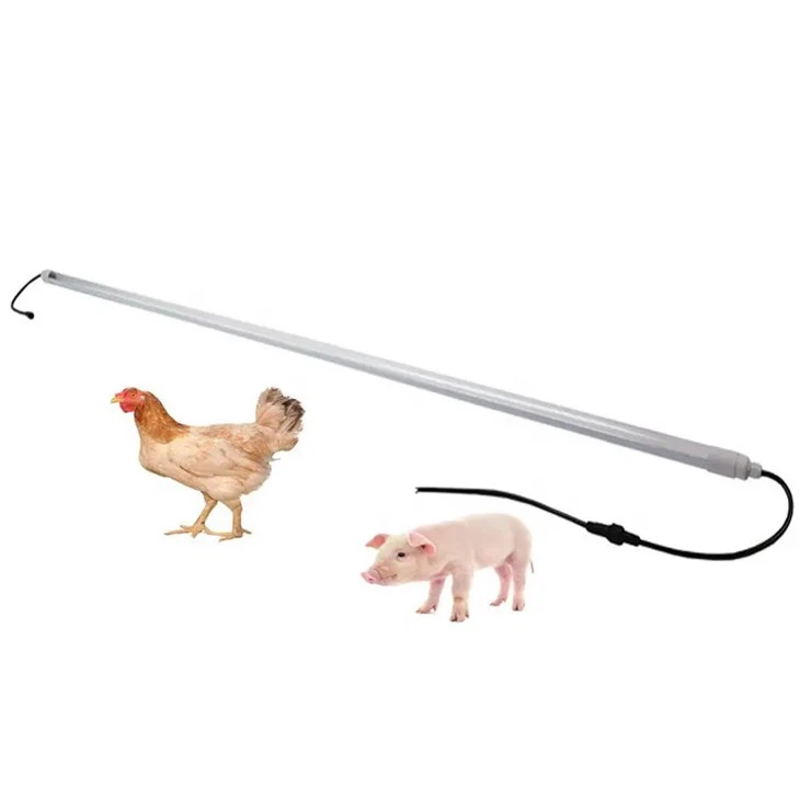 LED T8 veekindel valgustoru kodulindudele