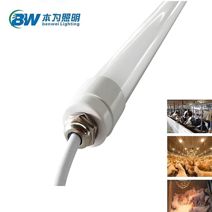 chicken farm led light