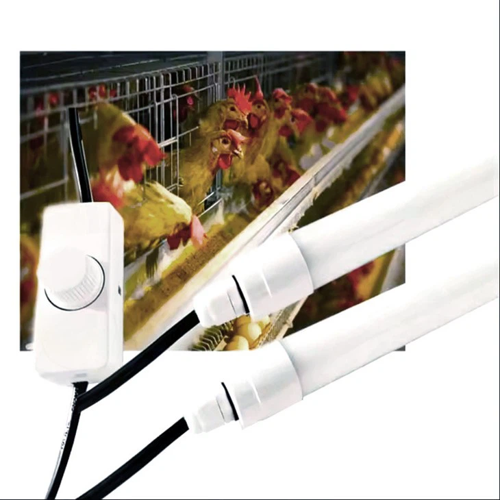 Kodulindude LED-toruvalgustid veekindlad
