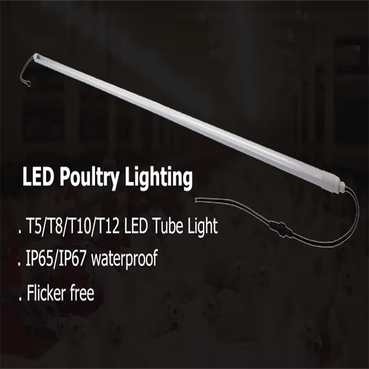 product-750-750