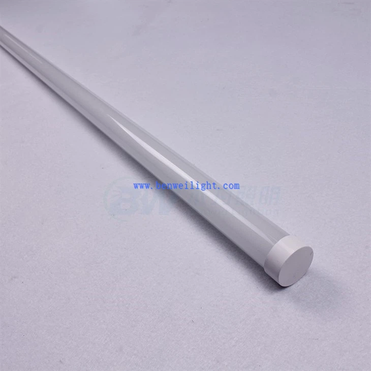 chicken brooder light